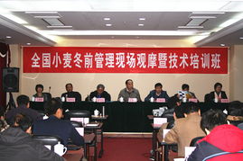 技術(shù)推廣服務(wù)中心 驅(qū)動(dòng)創(chuàng)新與發(fā)展的關(guān)鍵橋梁