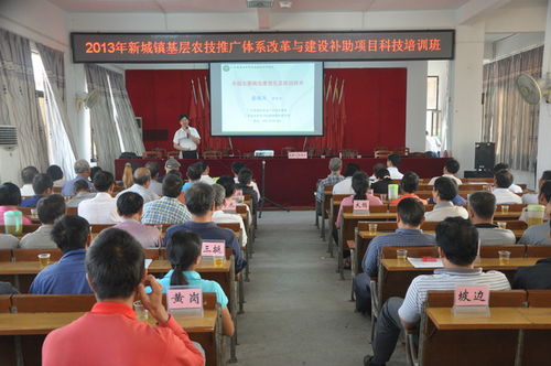 新城鎮(zhèn)農(nóng)技推廣體系改革與建設(shè)補(bǔ)助項(xiàng)目科技培訓(xùn)班 賦能現(xiàn)代農(nóng)業(yè)，服務(wù)鄉(xiāng)村振興