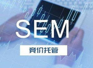 SEM競(jìng)價(jià)托管服務(wù) 技術(shù)推廣的新引擎
