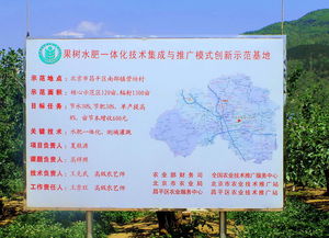 技術(shù)推廣服務中心 連接創(chuàng)新與市場的橋梁